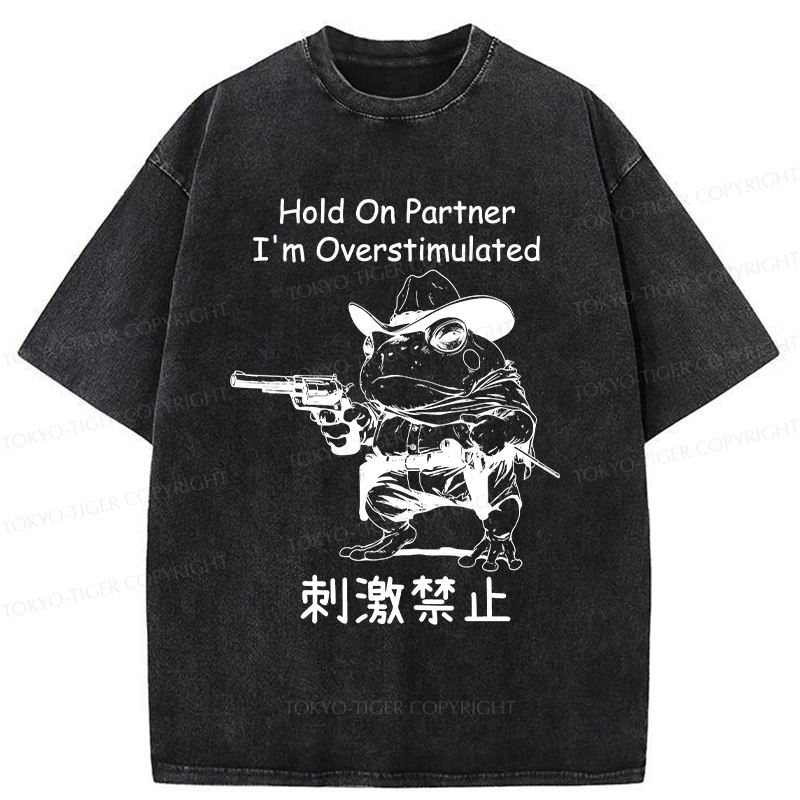 Tokyo-Tiger Overstimulated Frog Washed T-Shirt