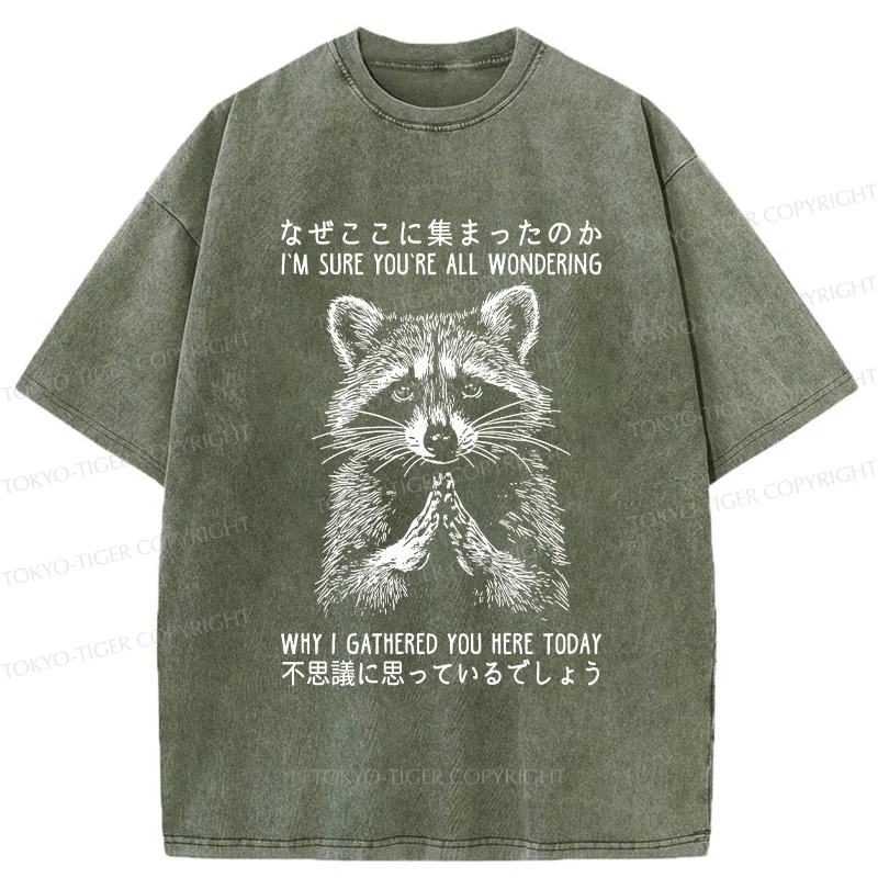 Tokyo-Tiger Something's Going On Raccoon Washed T-Shirt