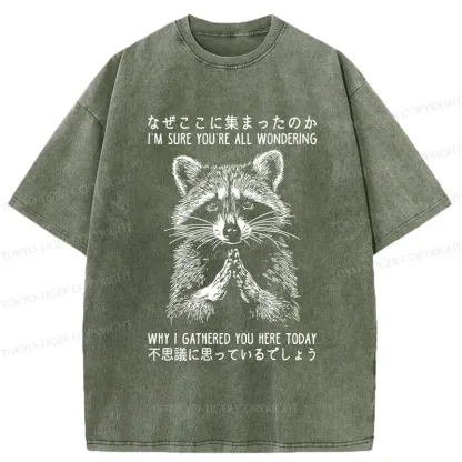Tokyo-Tiger Something's Going On Raccoon Washed T-Shirt