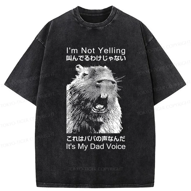 Tokyo-Tiger Funny Dad Voice Washed T-Shirt