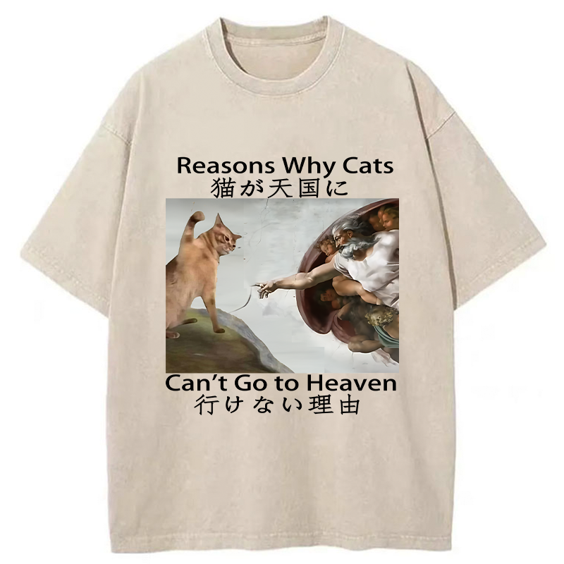 Tokyo-Tiger Naughty Cat Can't Go To Heaven Washed T-Shirt