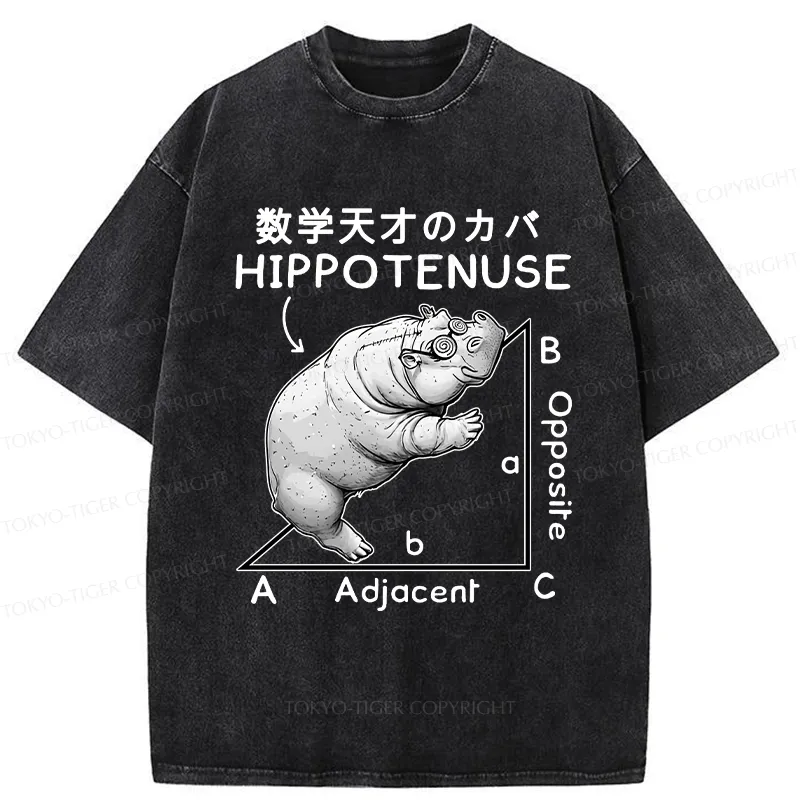 Tokyo-Tiger Mathematical Genius Hippo Washed T-Shirt