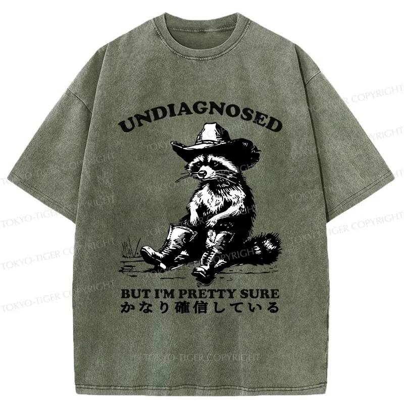 Tokyo-Tiger Confirmed Raccoon Washed T-Shirt