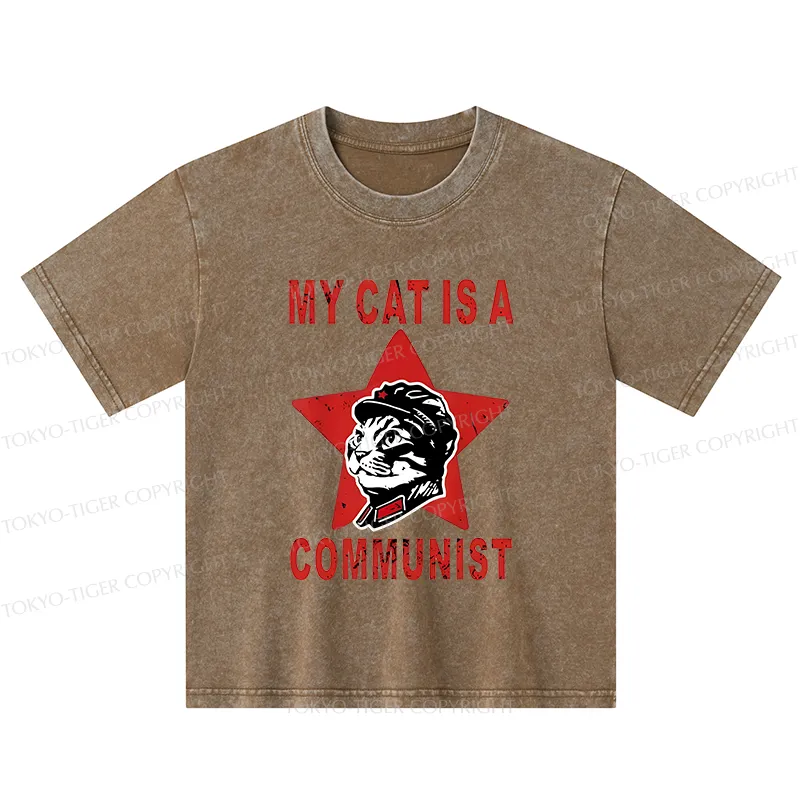 Tokyo-Tiger Funny Cat-ism Kids Washed T-Shirt