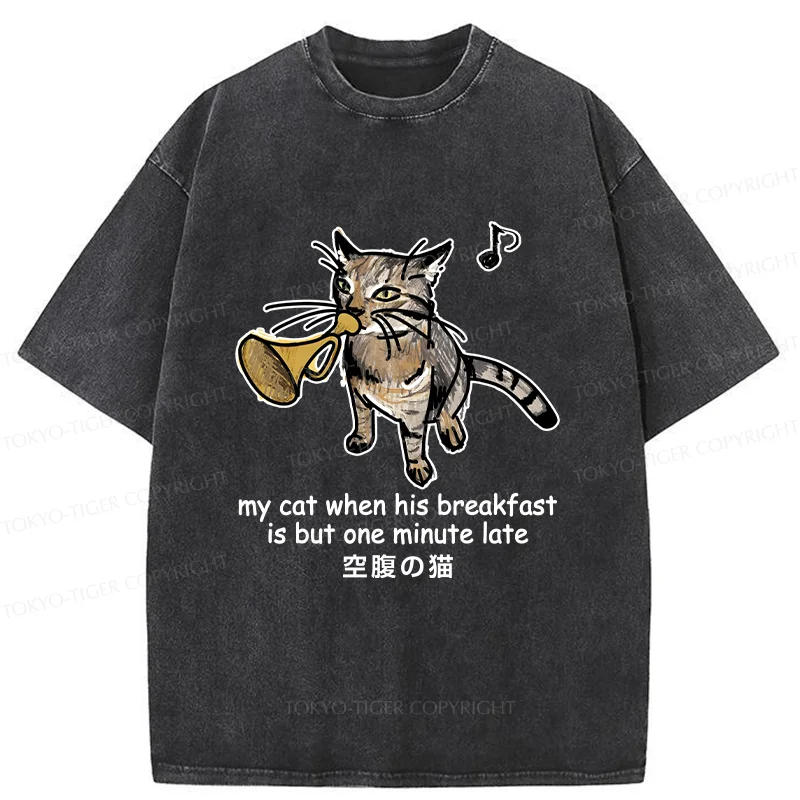 Tokyo-Tiger Cat Blowing Trumpet Washed T-Shirt