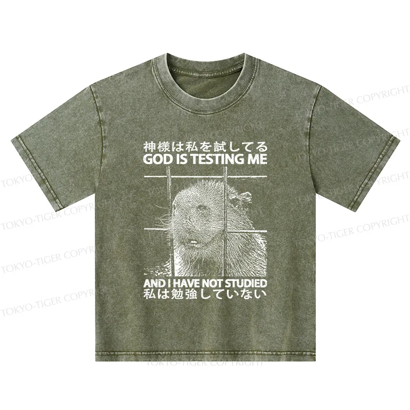 Tokyo-Tiger God Is Testing Me Kids Washed T-Shirt