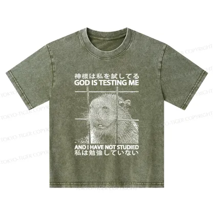 Tokyo-Tiger God Is Testing Me Kids Washed T-Shirt