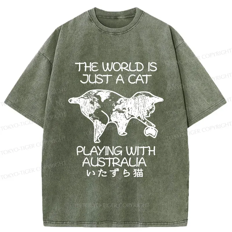 Tokyo-Tiger Funny World With Cat Washed T-Shirt