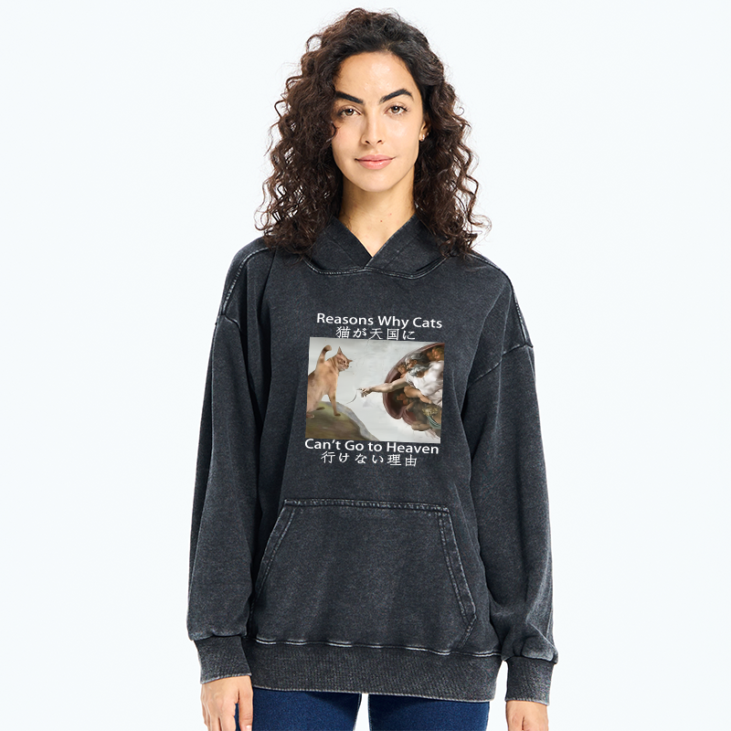 Tokyo-Tiger Naughty Cat Can't Go To Heaven Washed Hoodie
