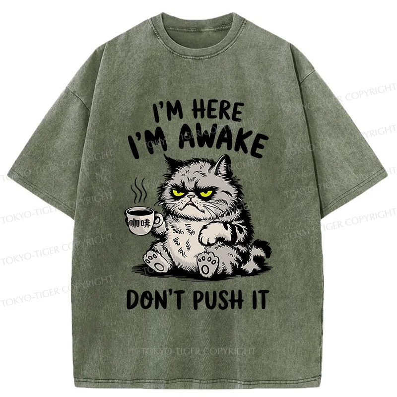 Tokyo-Tiger Tired Cat Washed T-Shirt