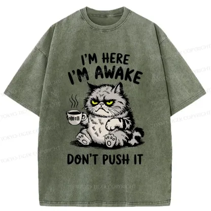 Tokyo-Tiger Tired Cat Washed T-Shirt
