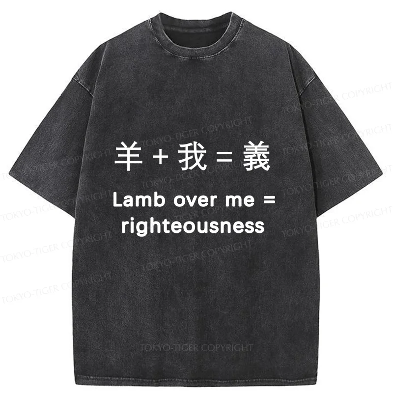 Tokyo-Tiger Constitution Of Justice Washed T-Shirt