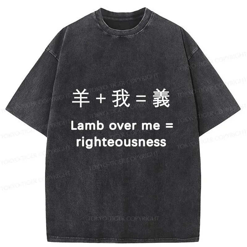 Tokyo-Tiger Constitution Of Justice Washed T-Shirt
