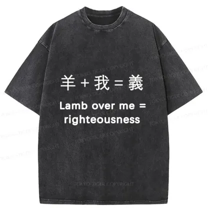 Tokyo-Tiger Constitution Of Justice Washed T-Shirt