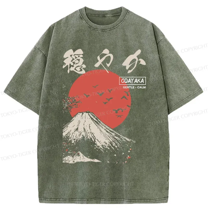 Tokyo-Tiger Japan Mount Fuji Retro Washed T-Shirt