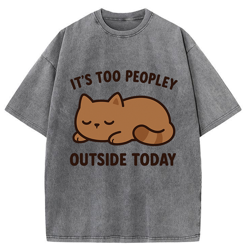 Tokyo-Tiger Kawaii Resting Cat Washed T-Shirt