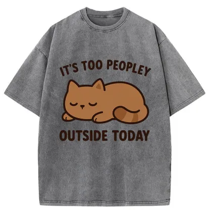 Tokyo-Tiger Kawaii Resting Cat Washed T-Shirt