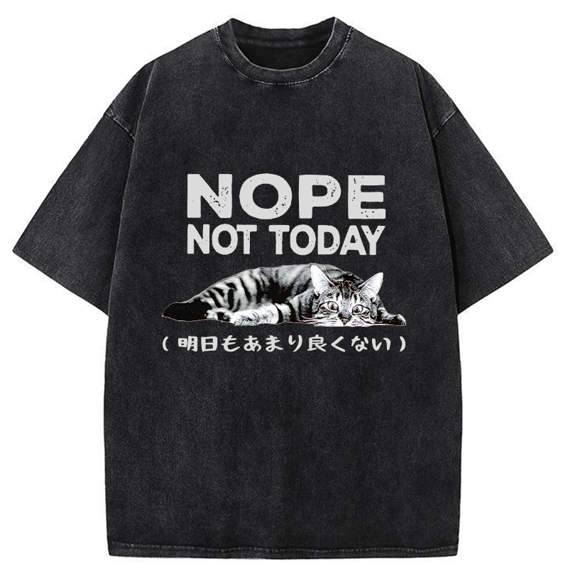 Tokyo-Tiger Every Day Won't Be So Good Washed T-Shirt