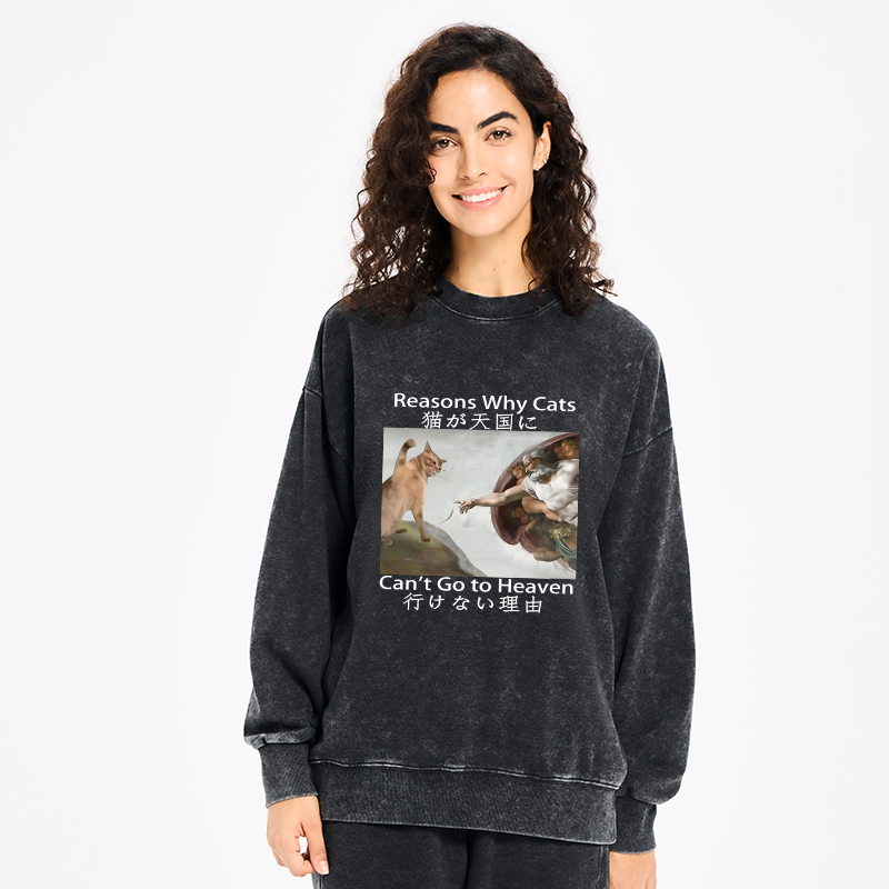 Tokyo-Tiger Naughty Cat Can't Go To Heaven Washed Sweatshirt