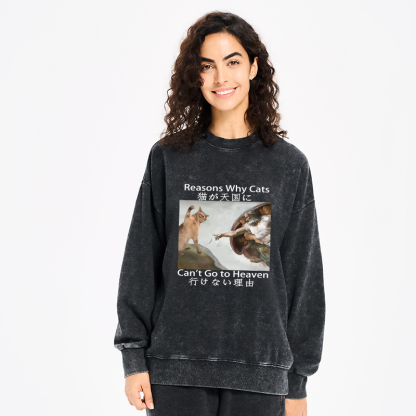 Tokyo-Tiger Naughty Cat Can't Go To Heaven Washed Sweatshirt