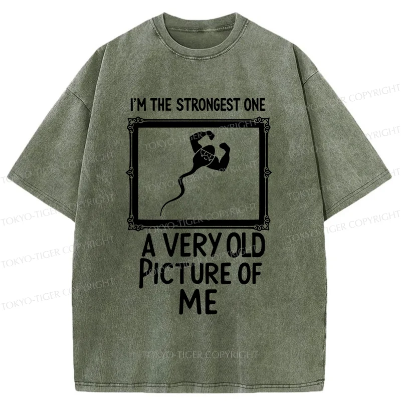 Tokyo-Tiger Old Photos Funny Washed T-Shirt
