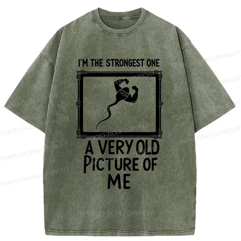 Tokyo-Tiger Old Photos Funny Washed T-Shirt