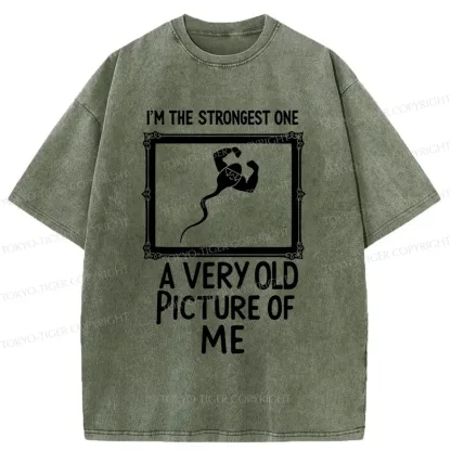 Tokyo-Tiger Old Photos Funny Washed T-Shirt