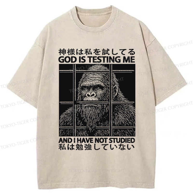 Tokyo-Tiger Funny God Is Testing Me Washed T-Shirt