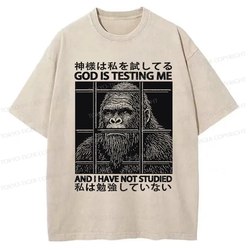 Tokyo-Tiger Funny God Is Testing Me Washed T-Shirt