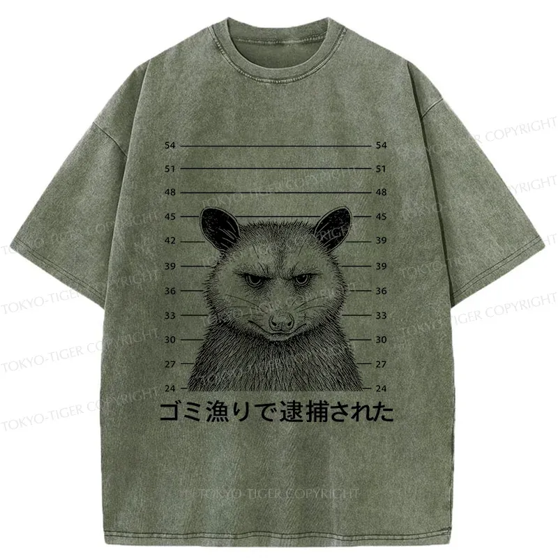 Tokyo-Tiger Captured Possum Washed T-Shirt