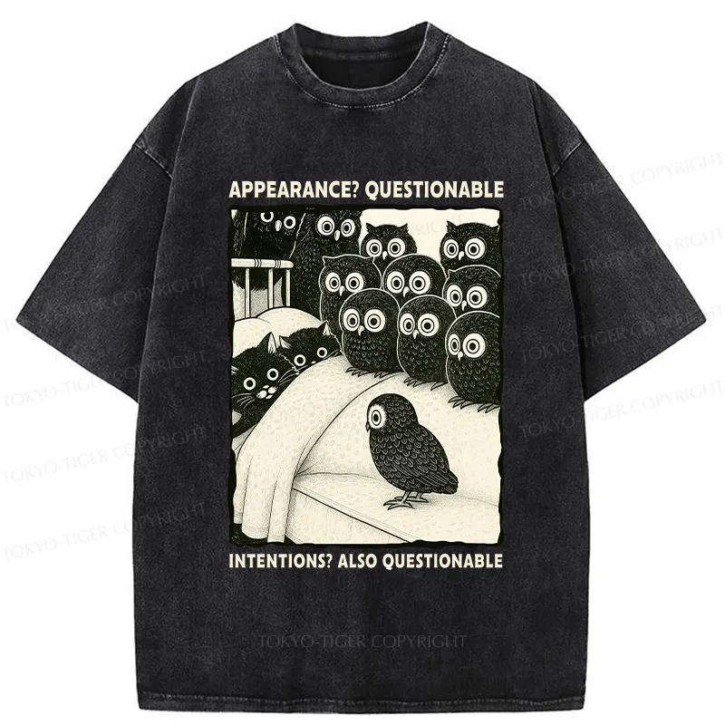 Tokyo-Tiger Appearance And Intentions Questionable Washed T-Shirt