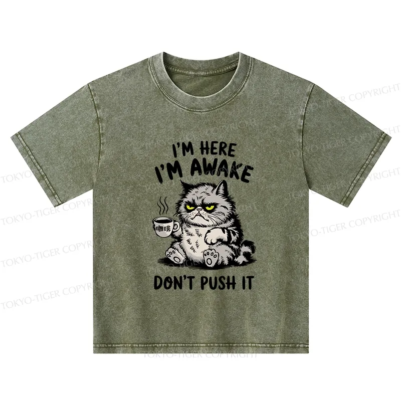 Tokyo-Tiger Tired Cat Kids Washed T-Shirt