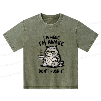 Tokyo-Tiger Tired Cat Kids Washed T-Shirt