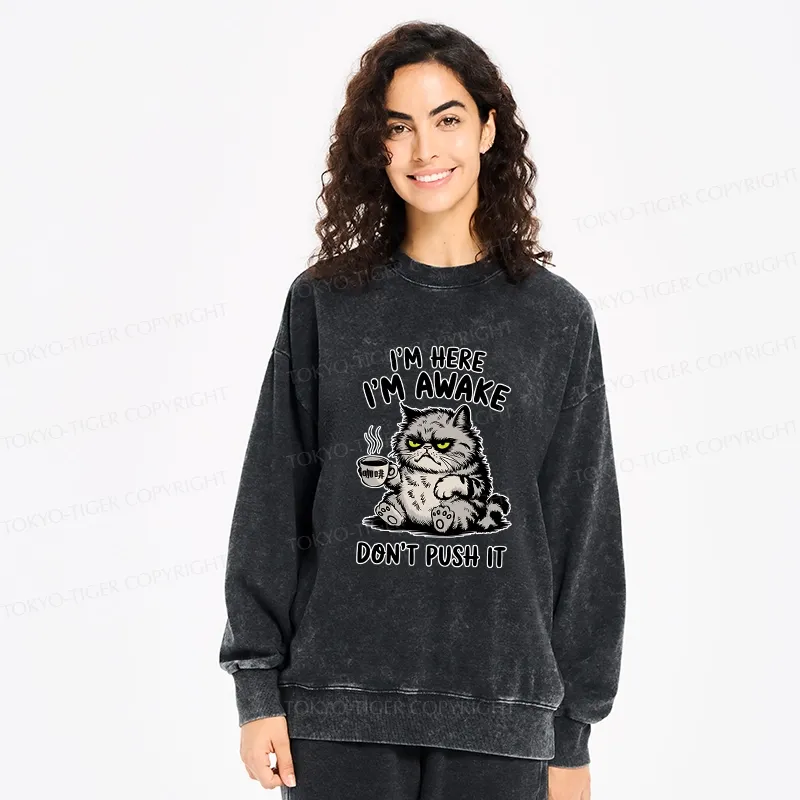 Tokyo-Tiger Tired Cat Washed Sweatshirt