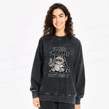 Tokyo-Tiger Tired Cat Washed Sweatshirt