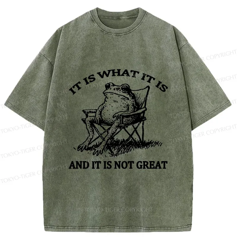 Tokyo-Tiger Resting Frog Funny Washed T-Shirt