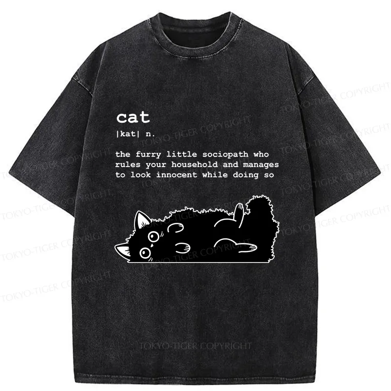 Tokyo-Tiger Definition Of Cat Funny Washed T-Shirt