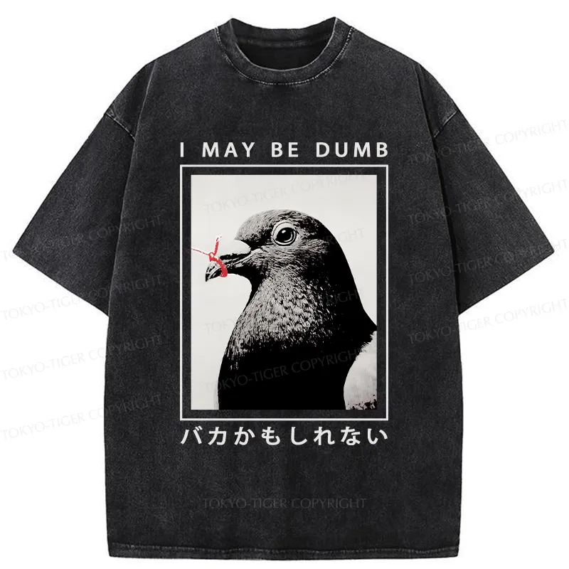 Tokyo-Tiger I May Be Dumb Funny Washed T-Shirt