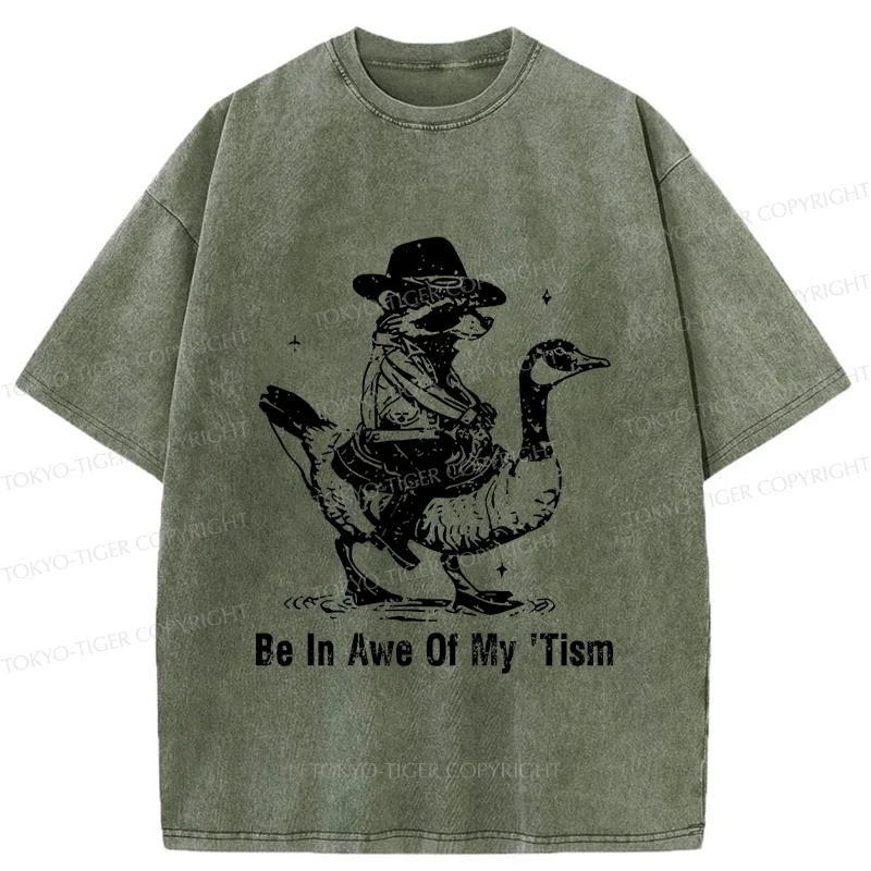 Tokyo-Tiger Raccoon Riding A Goose Washed T-Shirt