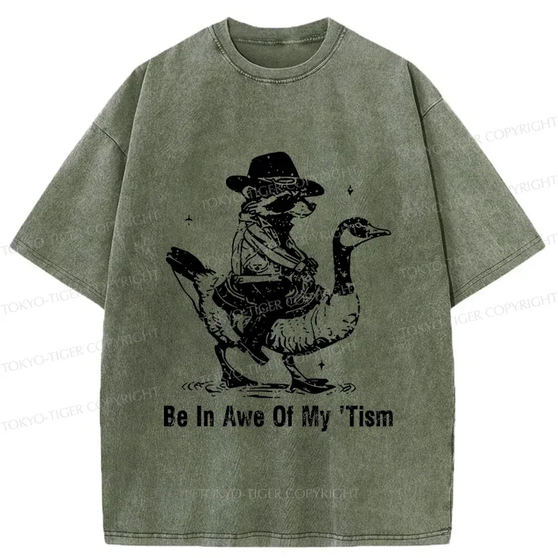 Tokyo-Tiger Raccoon Riding A Goose Washed T-Shirt