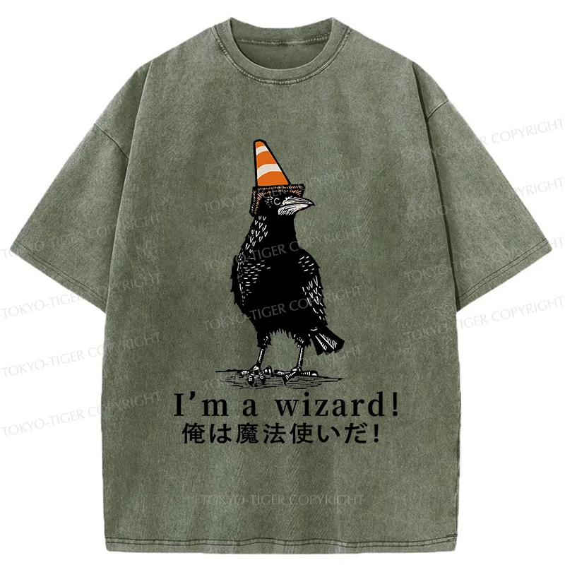 Tokyo-Tiger Magic Crow Washed T-Shirt