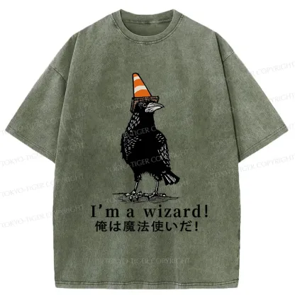 Tokyo-Tiger Magic Crow Washed T-Shirt
