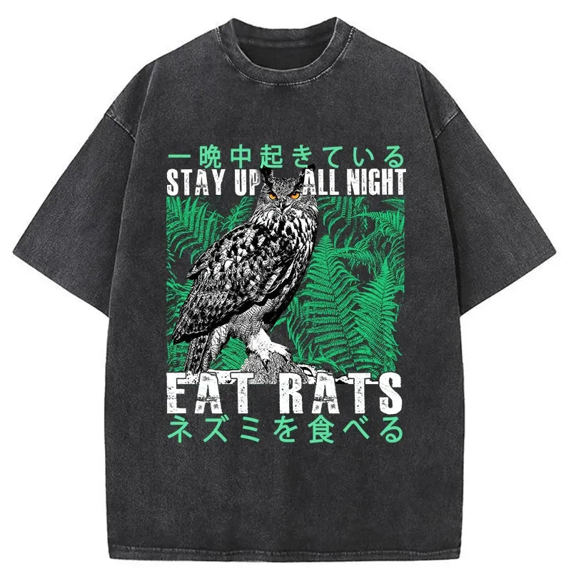 Tokyo-Tiger Owls Prey On Rats At Night Washed T-Shirt
