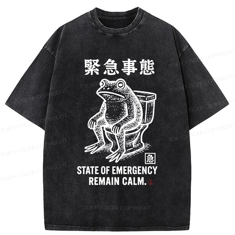 Tokyo-Tiger Funny Remain Calm Frog Washed T-Shirt