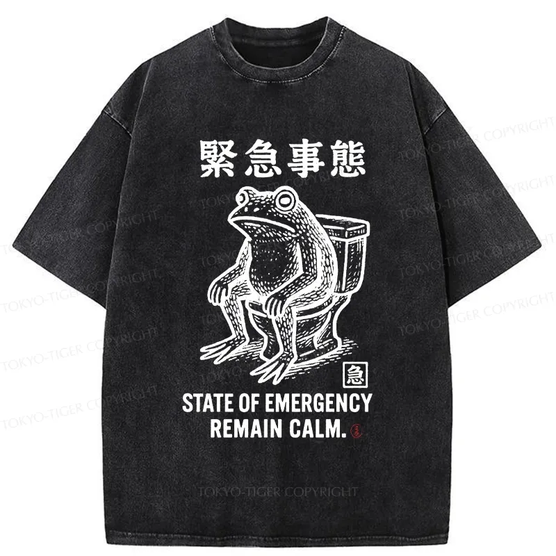 Tokyo-Tiger Funny Remain Calm Frog Washed T-Shirt