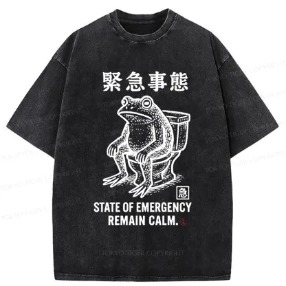 Tokyo-Tiger Funny Remain Calm Frog Washed T-Shirt