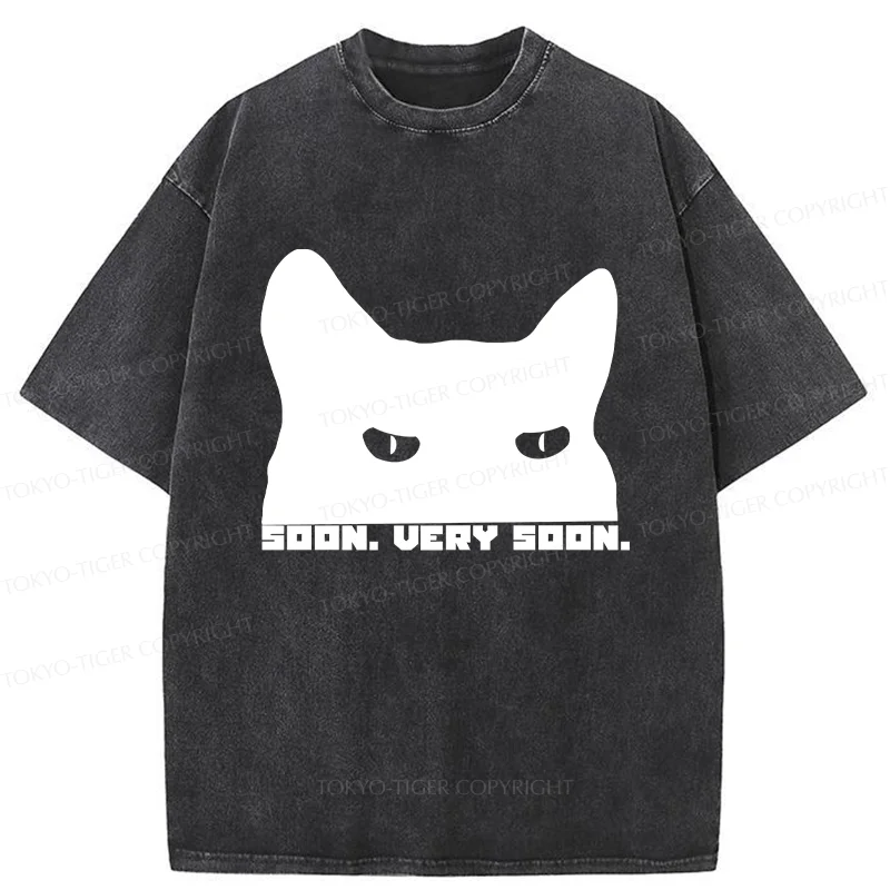 Tokyo-Tiger Cat Watching From Behind Washed T-Shirt