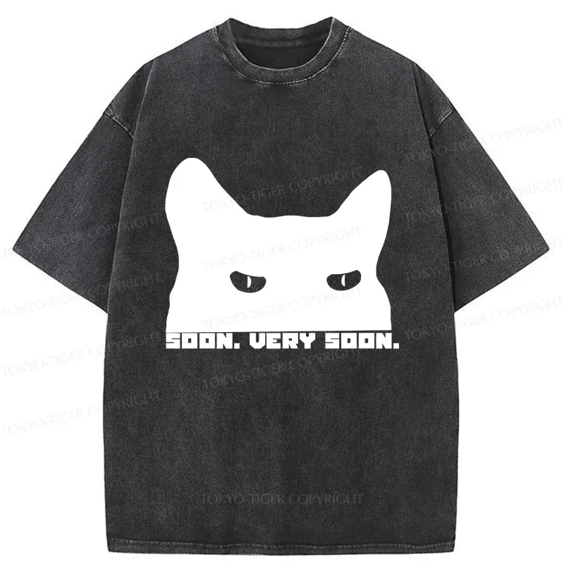 Tokyo-Tiger Cat Watching From Behind Washed T-Shirt