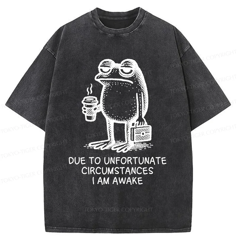 Tokyo-Tiger Decadent Frog Washed T-Shirt