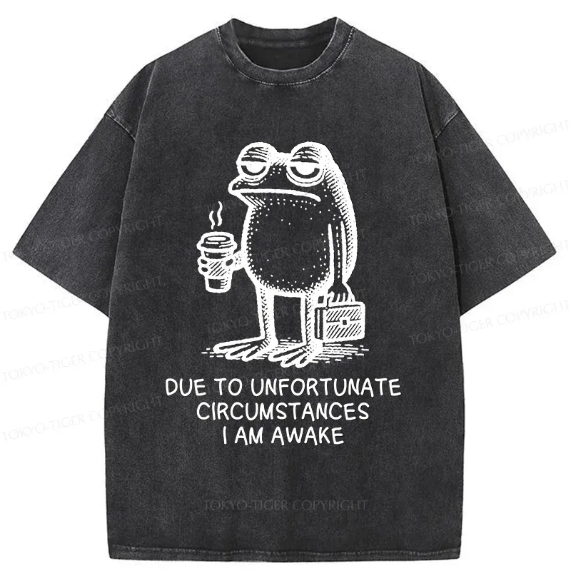 Tokyo-Tiger Decadent Frog Washed T-Shirt